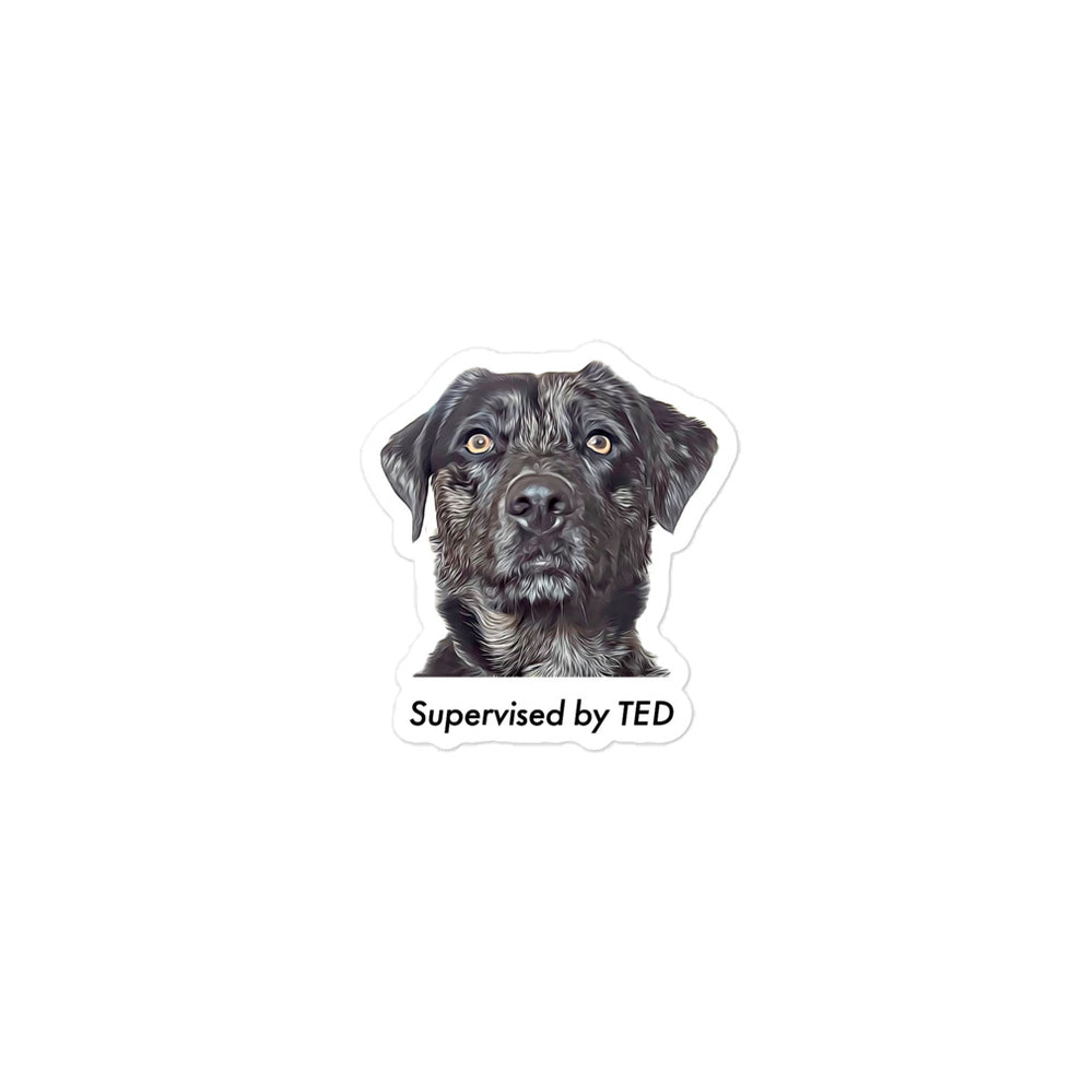 Supervised By Ted Sticker – Mr Hewes Merch